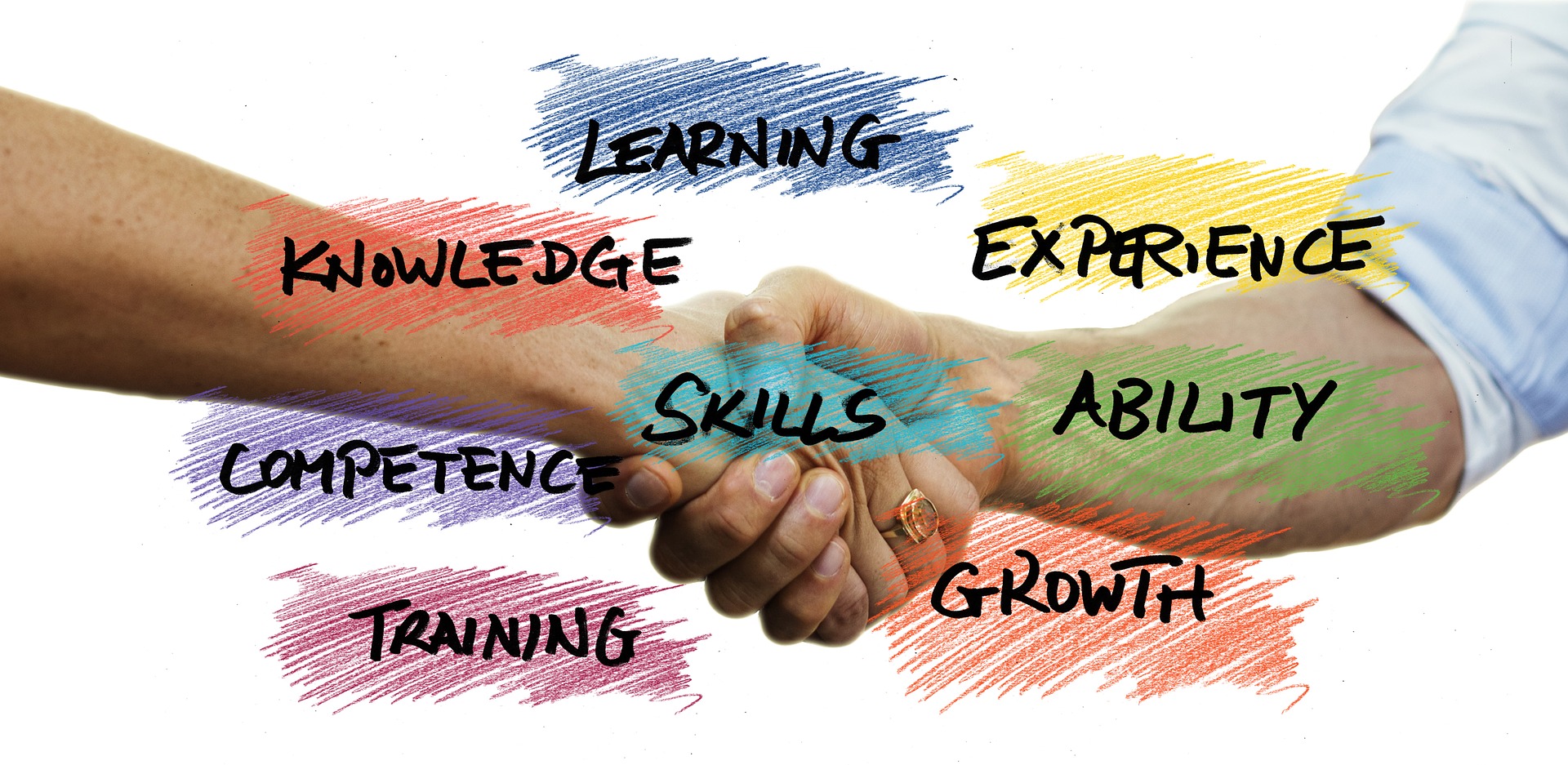 Professional Development Skills Knowledge Competencies